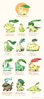 Pokemon Crossbreeds Chikorita By Too Much Green On Tumblr If Only We Could Breed Pokemon Like This Always The Same Pokemon Species Pokemon Breeds Pokemon