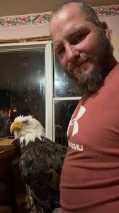 What kind of rooster is this?