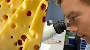 Gleichfalls, welche käse ist am gesündesten? Ist Kase Gesund Von Diesem Kase Sollten Sie Die Finger Lassen Chip