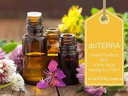 Lavender, peppermint, eucalyptus, frankincense, lemongrass 2016 DÅterra Essential Oils Great Products Is It A Business For You Itsvicky