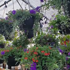 The urban garden are the indoor plant hire specialists in auckland, providing plant design, installation, plant rental and the urban garden is locally owned and operated by peter waterhouse and gary sanders who, with a team of dedicated and passionate staff at the helm, deliver incredible service and. Urban Garden Center Home Facebook