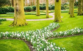 It is not much different from hundreds of its counterparts in the world: Gartenbauer Weiterstadt Gartenbau Weiterstadt