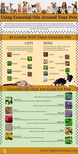 Using Essential Oils Around Your Pets Essential Oils Dogs Are Essential Oils Safe Essential Oils Cats