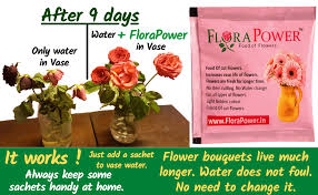 A mix of 1 part vodka (even the cheap stuff) to 3 parts water will keep a cut flower fresh for almost a month! Buy Florapower Food Of Flowers Flower Food Sachets 10 Pieces Online At Low Prices In India Amazon In