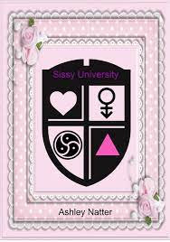 Sissy-university