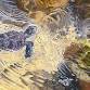 Acrylic Painting event image