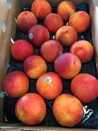 Image result for Sierra Peach 1957 Hudson