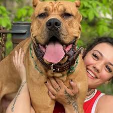 Fundraiser by Lilyanna Quinn : Support Lilyanna Quinn's Facility Expansion