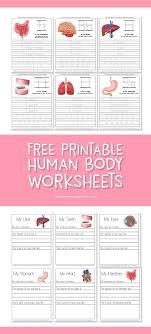 You'll need the following supplies below to be able to print about this parts of the body set. Human Body Parts Worksheets For Kindergarten Of Human Body Worksheets For Kindergarten Up Free Templates