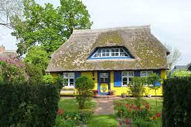 Paramore's opening at kool hausaugust 23rd, 2008click high quality for better picture =]. Gelbes Haus In Born Mein Urlaub Zingstfan Community Meine Halbinsel Inhalte Tourismusverband Fischland Darss Zingst E V