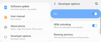 With the launch of the galaxy s10 series and devices thereafter, . How To Root Samsung Galaxy S10 And S10 Plus Install Magisk One Ui Firmware Naldotech