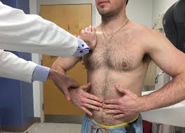 Image result for Shoulder Exam