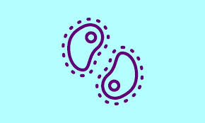 Our friendly doctors and staff will help you with your std tests. Frequently Asked Questions About Sti Testing Planned Parenthood Of The St Louis Region And Southwest Missouri