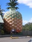 The Big Pineapple Con: A Fruitful Comedy 🍍💸