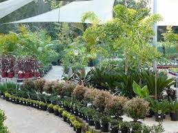 Small Business Ideas List Of Small Business Ideas How To Start A Plant Nursery Business Garden Nursery Plant Nursery Garden Center Displays