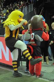 Skeeta wears an essendon shirt to each match, providing entertainment and boosting morale for the crowds and players. Scooter On Twitter Hawthorn Still Emotional At Losing Mosquito To Essendon Efcskeeta