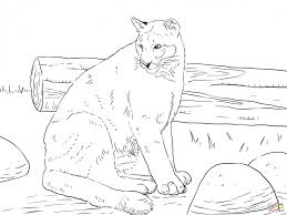 Explore printable lion coloring pages for kids. Get This Mountain Lion Coloring Pages Printable 75997