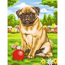 pug junior painting by numbers painting paint by number