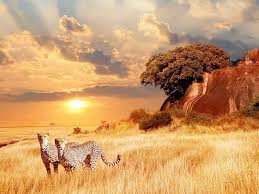 Südafrika (offiziell republik südafrika) ist ein staat in afrika, der ursprünglich von europäischen siedlern (→ weiße, magna europa) gegründet wurde. Sudafrika Reise Top Angebote Globista Reisen