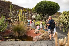 We enjoyed our visit in the. Cuantos Jardines Botanicos Hay En Fuerteventura
