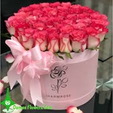 Ddrsongs brings you the highest quality versions of your favorite dance dance revolution songs. Pink Roses In A Box