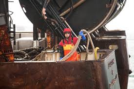 The Dangerous Side of Fishing for Squid