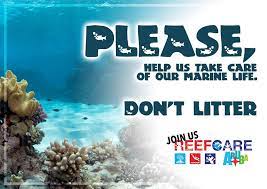 Help Keep Our Beaches Clean Aruba Beach Clean Beach Aruba