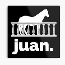 Le portail boursorama.com compte plus de 30 millions de visites mensuelles et plus de 290 millions de pages vues par mois, en moyenne. Horse On Balcony Metal Prints Redbubble