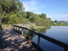 Mar 24, 2020 · window on the waterfront might just be michigan's prettiest springtime park. Boardwalk Window On The Waterfront Holland Michigan Coastal Boardwalks On Waymarking Com