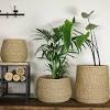 Shop our best selection of hanging planters, baskets & pots to reflect your style and inspire your outdoor space. 1
