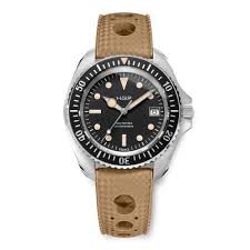 Image result for diving watch