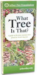 What Tree Is That Online Edition At Arborday Org