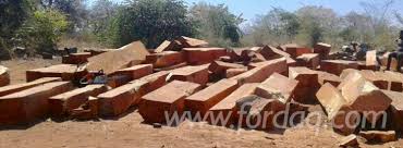 Image result for Guibourtia coleosperma