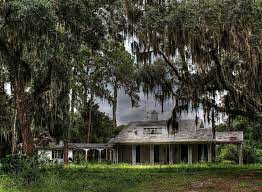 260 Palatka Ideas Palatka Old Florida Florida