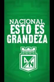 Atlético nacional hoy el risaraldense ha dejado de ser el técnico de los 'verdolagas'. 110 Ideas De Atletico Nacional Atletico Nacional Club Atletico Nacional Nacional Campeon
