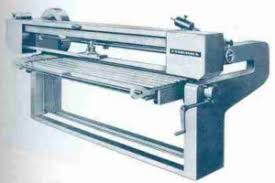 Image result for Frommia