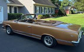Image result for Sungold Amber 1966 AMC