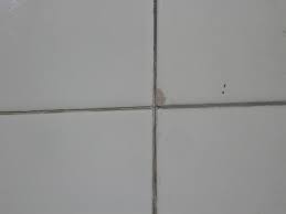 We'll teach you how to remove the old tile without damaging any of the surrounding tiles. Chipped Tile Epoxy Paint Ceramic Tile Advice Forums John Bridge Ceramic Tile