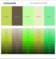 I have always thought jet black and china white accents go good with lighter shades of green in a room, plus, with accents, those colors are easy to shop/buy for and diy color. 21 Latest Color Schemes With Pale Green And Light Green Color Tone Combinations 2021 Icolorpalette