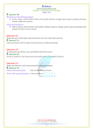7.1 heat as a form of energy. Ncert Solutions For Class 6 Science Chapter 7 Getting To Know Plants