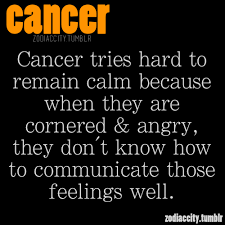 They may have a tendency towards disorder because of their inferiority complex. Anger Quotes Cancer Zodiac Quotesgram