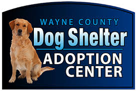 Every day, you can adopt a pet in a petco store. Wayne County Dog Shelter Located In Wooster Ohio