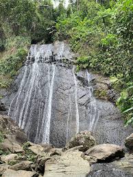122 carretera pr 2, manati, 00674 puerto rico ~20.29 miles east of la coca falls. El Yunque National Forest Rio Grande Puerto Rico Boricuaonline Com