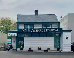 Maybe you would like to learn more about one of these? Stamford Ct Veterinary Hospital Veterinary Hospital In Stamford