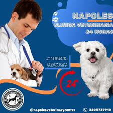 NAPOLES CLINICA VETERINARIA 24 HORAS