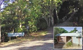 Residents Trying To Take Back Sex Hotspot As Condoms Are Left In Trees In Pay It Forward Scheme Daily Mail Online