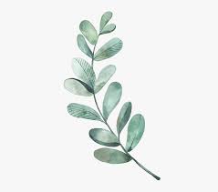 Maybe you would like to learn more about one of these? Leaf Leaves Illustration Watercolor Green Painting Watercolor Leaves Clipart Hd Png Download Kindpng