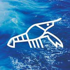 Duchowny prowadzi na youtube kanał langusta na palmie. Langusta Na Palmie Youtube Instagram Facebook Wiek Sklep Apynews