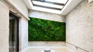 Moss walls are ideal for bathrooms because they soak up the water from steam. How To Build Plant And Maintain A Living Garden Wall At Home Vogue