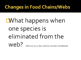 Producers are organisms that do not need to eat other organisms to obtain energy. Interactions In Our Environment Food Chains And Food